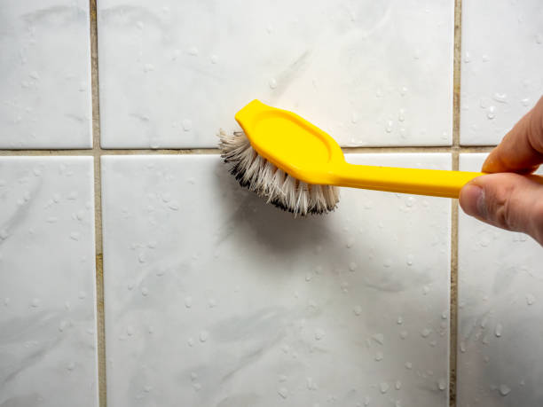 Best Same-Day Mold Removal  in Fern Prairie, WA