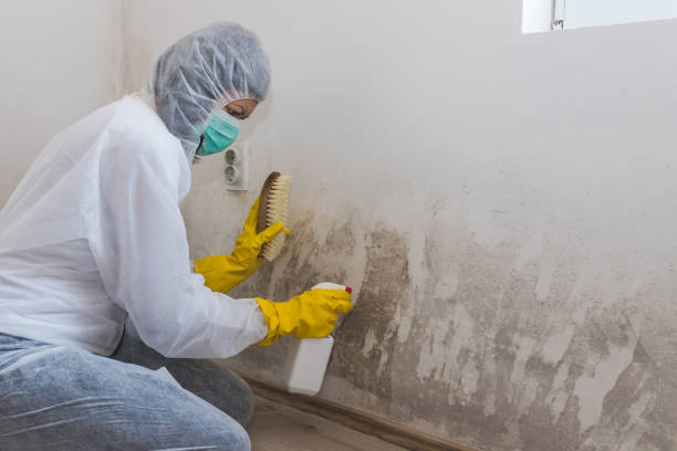 Best Water Damage Restoration  in Fern Prairie, WA