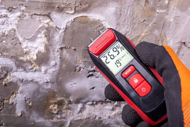Best Local Mold Removal Service  in Fern Prairie, WA
