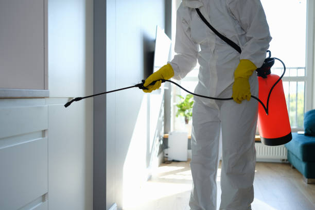 Best Fast Mold Removal  in Fern Prairie, WA